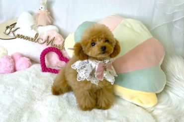 垂れ目で優しいお顔付きのやわらかなクリーム系女子＊1564